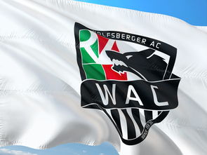 开云体育平台-“东部新区赛场，腰旗美式橄榄球让人血脉喷张”  第2张